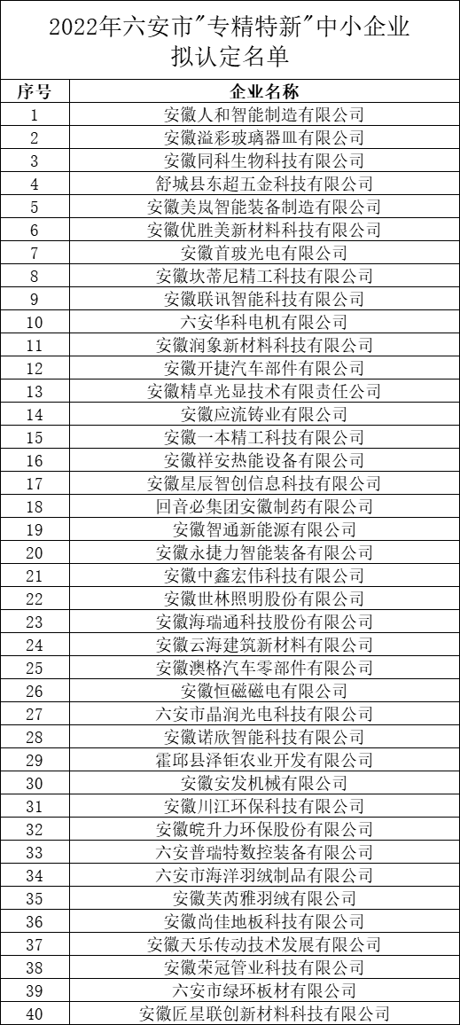 六安市專精特新中小企業認定名單